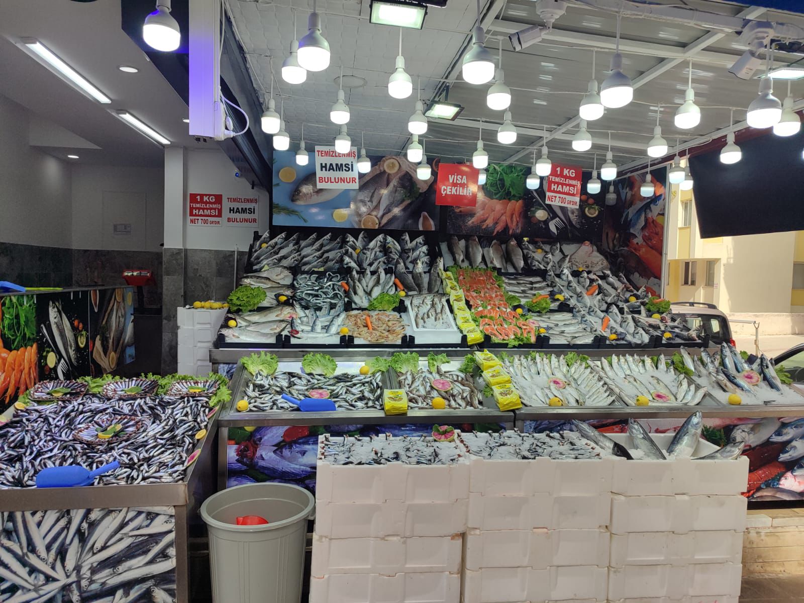 Lider Balıkçılık